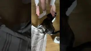Когда услышала заветные слова!😄
