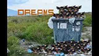 Карос.  Последствие и наказание ги Dreams