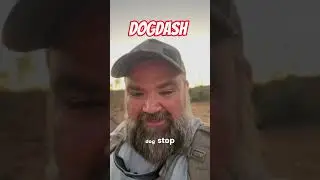 K9 Food Delivery #doordash #dog #dogsofinstagram