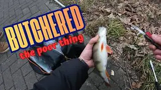 BUTCHERED IT!!! Perch Catch & Cook