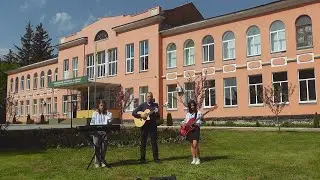 Зелене жито зелене