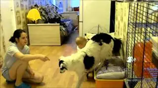 Поощрение