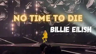 Ally Moon - No time to die (Billie Eilish), live