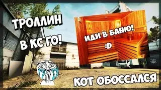 Троллинг в CS:GO