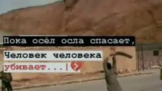 Многие люди животнее чем сами животные