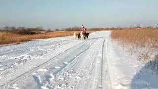 Рождественские каникулы 2017(3)