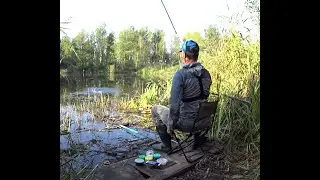 Рибалка на чудовом лісовому озері, серед гарної природи. Клев карася, на поплавочние удочки.