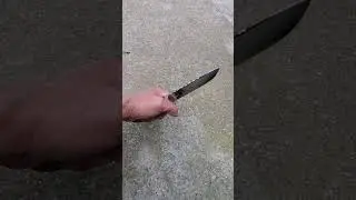 Бычак по мотивам
