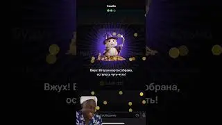 15-16 июня Комбо в хомяке Hamster Kombat