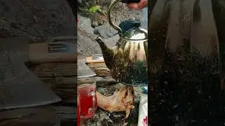 Любить и есть смысл всего, смысл жизни на этой Земле.