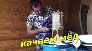 Качаем мёд.