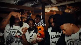 Drell3100 