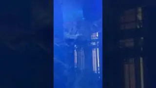 Музей рыб. Фуюань