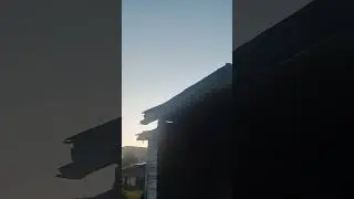 не белые??? #маэстро