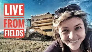🔴LIVE FROM FIELDS  - New Holland TX 34 - Rice Harvesting in ITALY