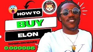 HOW TO BUY AND STORE DOGELON MARS 
