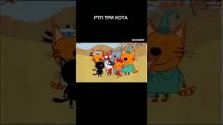 РТП ТРИ КОТА. RYTP ТРИ КОТА. 