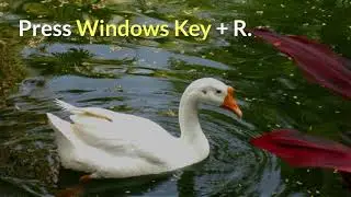 Windows Update Error 0x80072efd