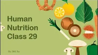 Human Nutrition 29