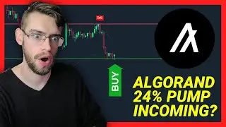 Algorand 24% PUMP Incoming? (ALL DATA SAYS BULLISH!!) | ALGO Analysis
