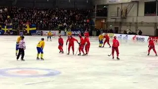 Россия Чемпионы мира 2013 по хоккею с мячом