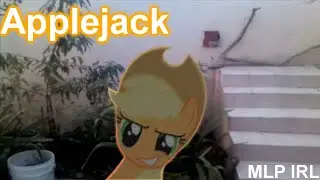 Applejack (MLP in real life)