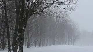 Виктория Линченко - Снег (Cover)