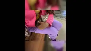Спасла маленькую жизнь ❤️