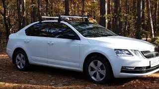 ШКОДА ОКТАВИЯ 1.8 ДСГ СПУСТЯ 75 ТЫС.КМ. РЕАЛЬНЫЙ ОТЗЫВ
