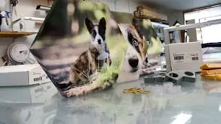 Hoe maak ik een zeshoek canvas met Goframe Hex Frame van Innova