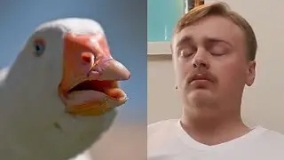 When you watch a Dolan Dark meme