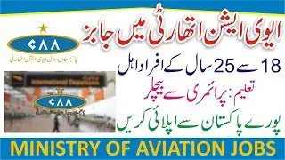 Ministry Of Aviation Jobs 2024 - Civil Aviation Authority Careers 2024 - Aviation Vacancies 2024