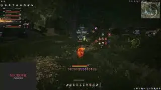 Poor Guy Kek