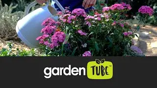 Quick spring garden tasks