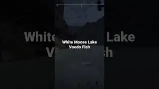 #fishingplanet