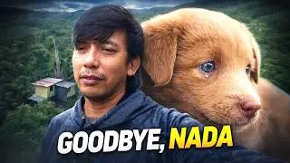 THE END OF OUR LIFE JOURNEY | Run Free, NADA!