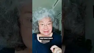 Взято из ЖЖ. Говорю медленно, чтобы было понятнее.