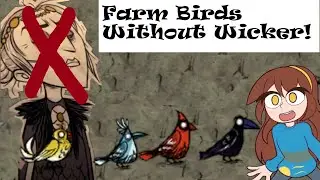 The Best Passive Bird Farming Methods Don't Starve Together!