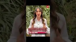 Ana Ligia Mora