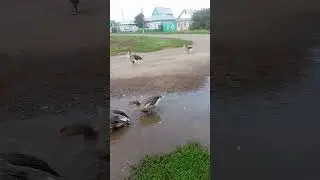 16 августа 2024 г.