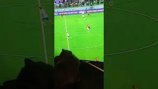 ЛУЧШИЙ БОЛЕЛЬЩИК В ИСТОРИИ #cat #fifa #рпл #film #kitten