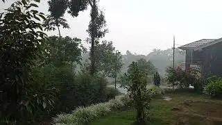 suasana syahdu hujan deras di pedesaan