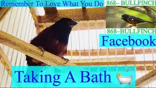 Taking a Bath