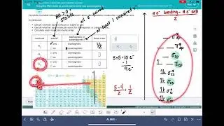 ALEKS: Using the MO model to predict bond order and paramagnetism