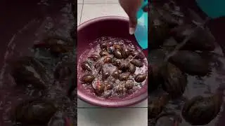 Sauce escargots,  très délicieuse, je recommande les yeux fermés 🥰