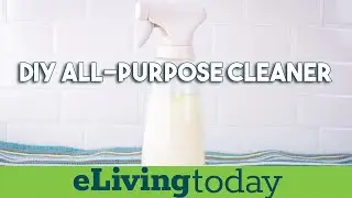 DIY All Purpose Cleaner