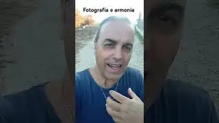 26 agosto 2024
