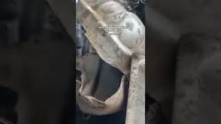 6 сентября 2024 г.