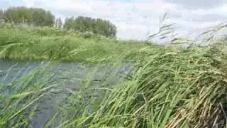 Ветер