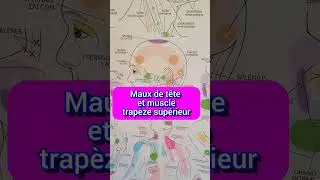 Mal de tête musculaire ( Muscle trapèze)